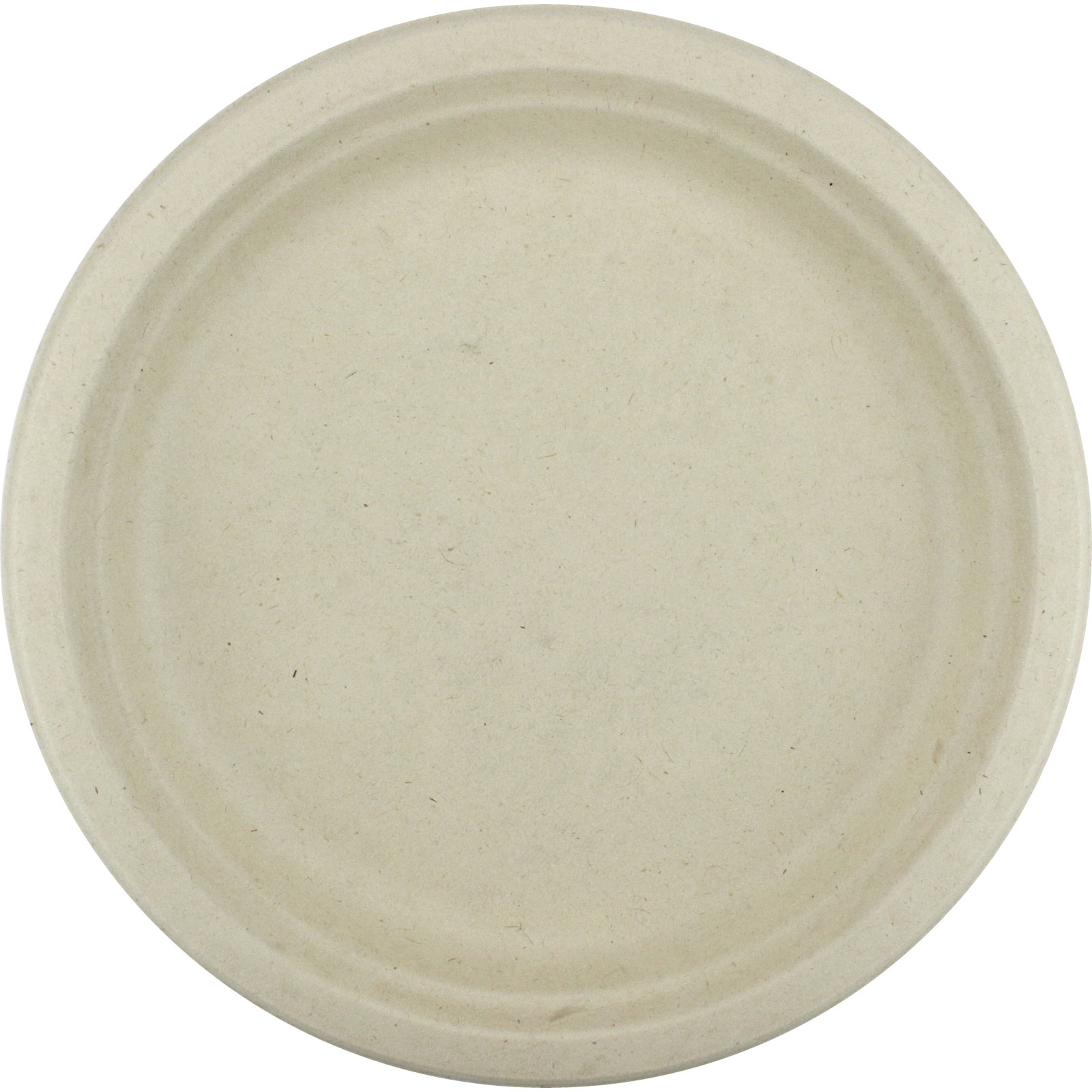 Eco Biodegradable Large Plates (Pack of 30)