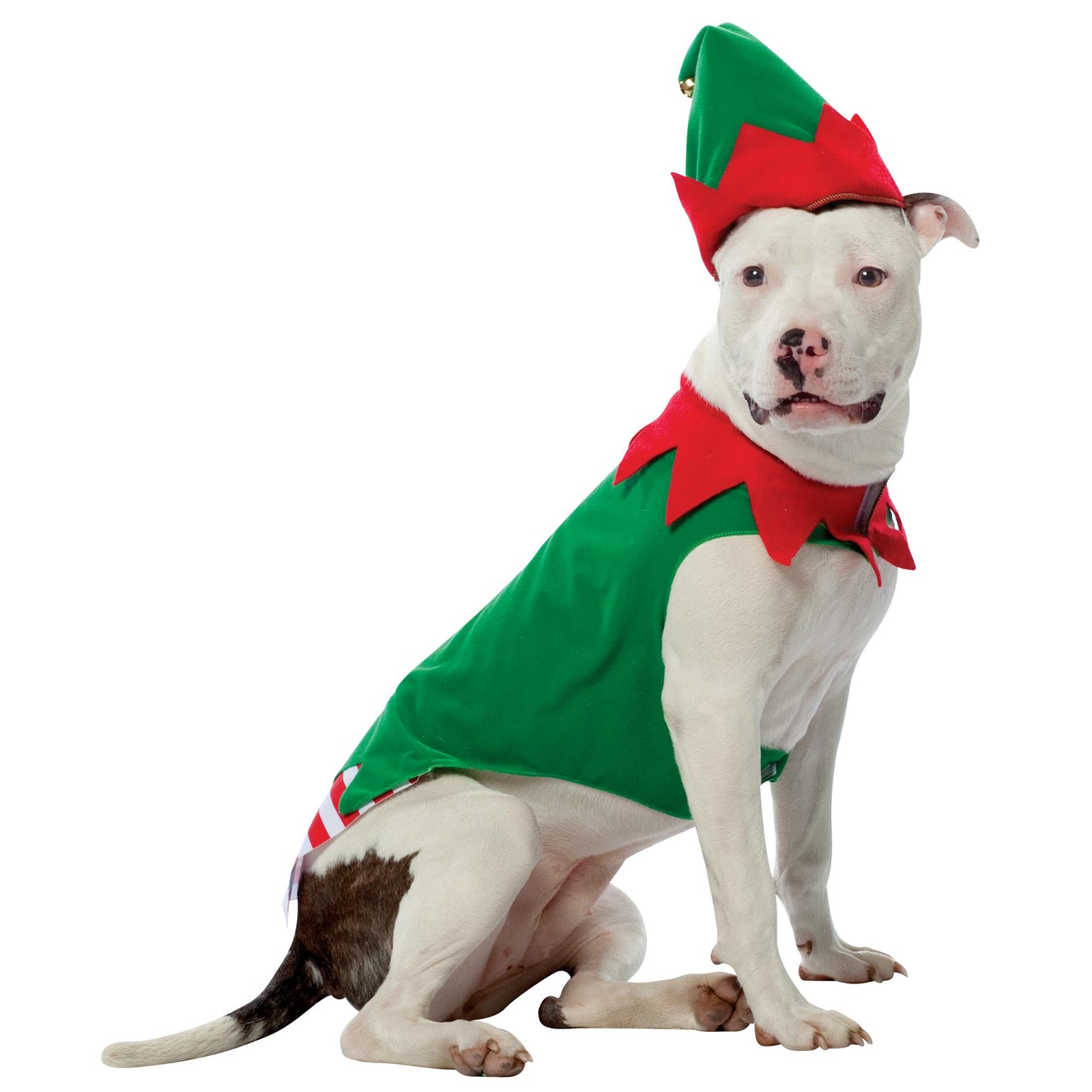 Elf Pet Costume Large