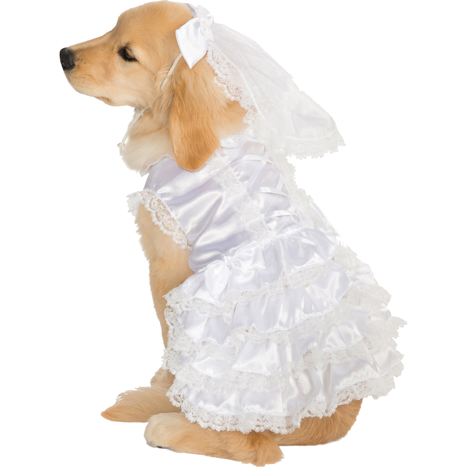 Bride To Be Dress and Veil Pet Costume