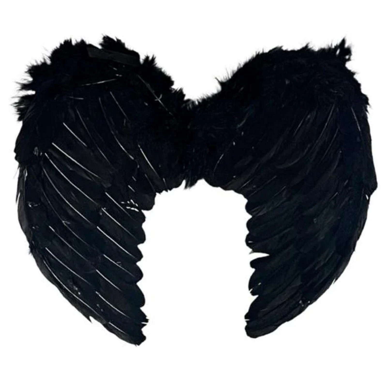 Black Feathered Angel Wings (80cm x 60cm)