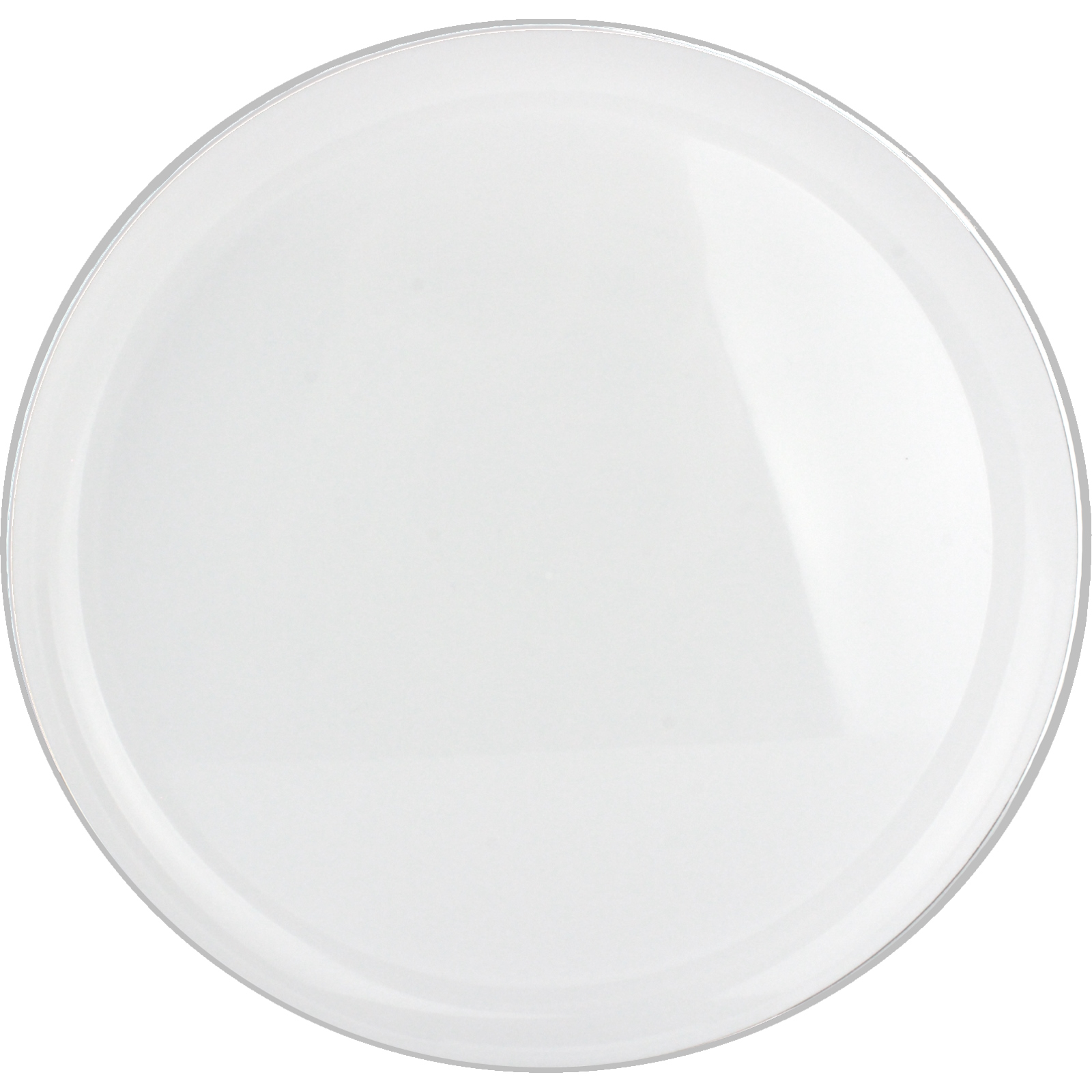 White With Silver Trim Plastic Plates 21cm (Pack of 10) 