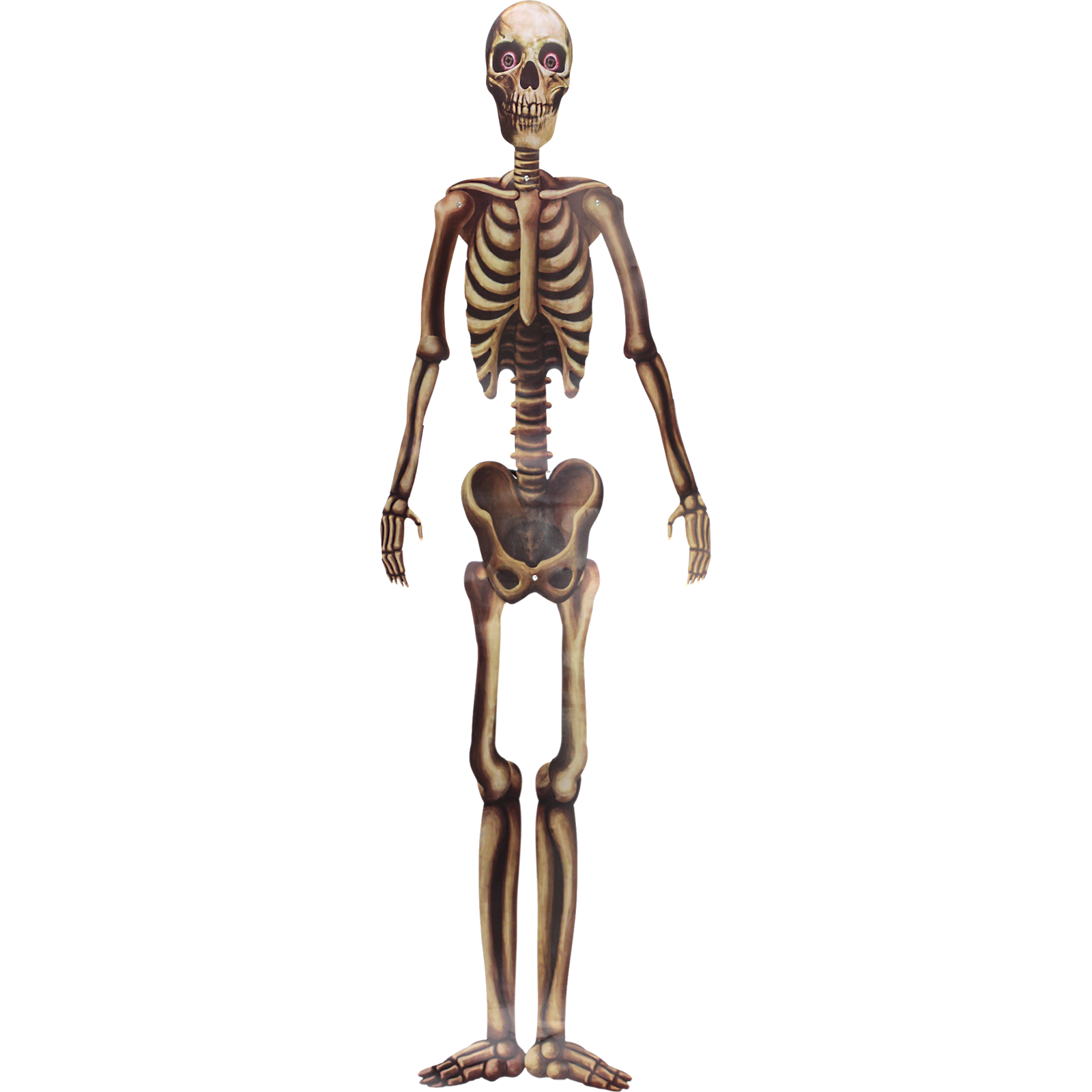 Graveyard Jointed Skeleton Wall Cutout Decoration 