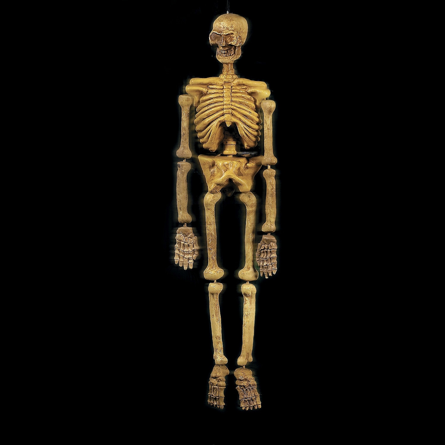 Halloween 1.5m Plastic Skeleton