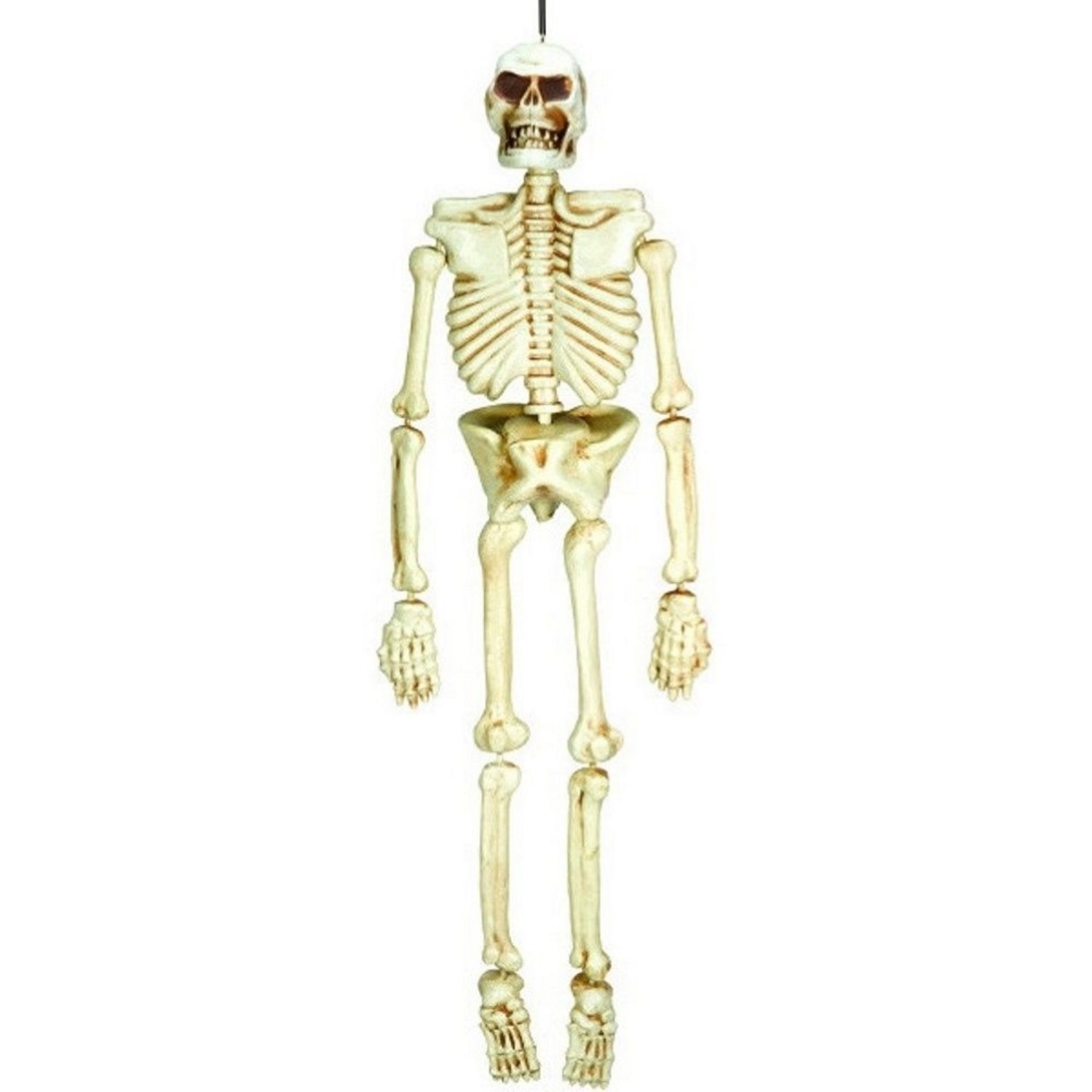 Halloween Life-Size Plastic Skeleton (1.4m)
