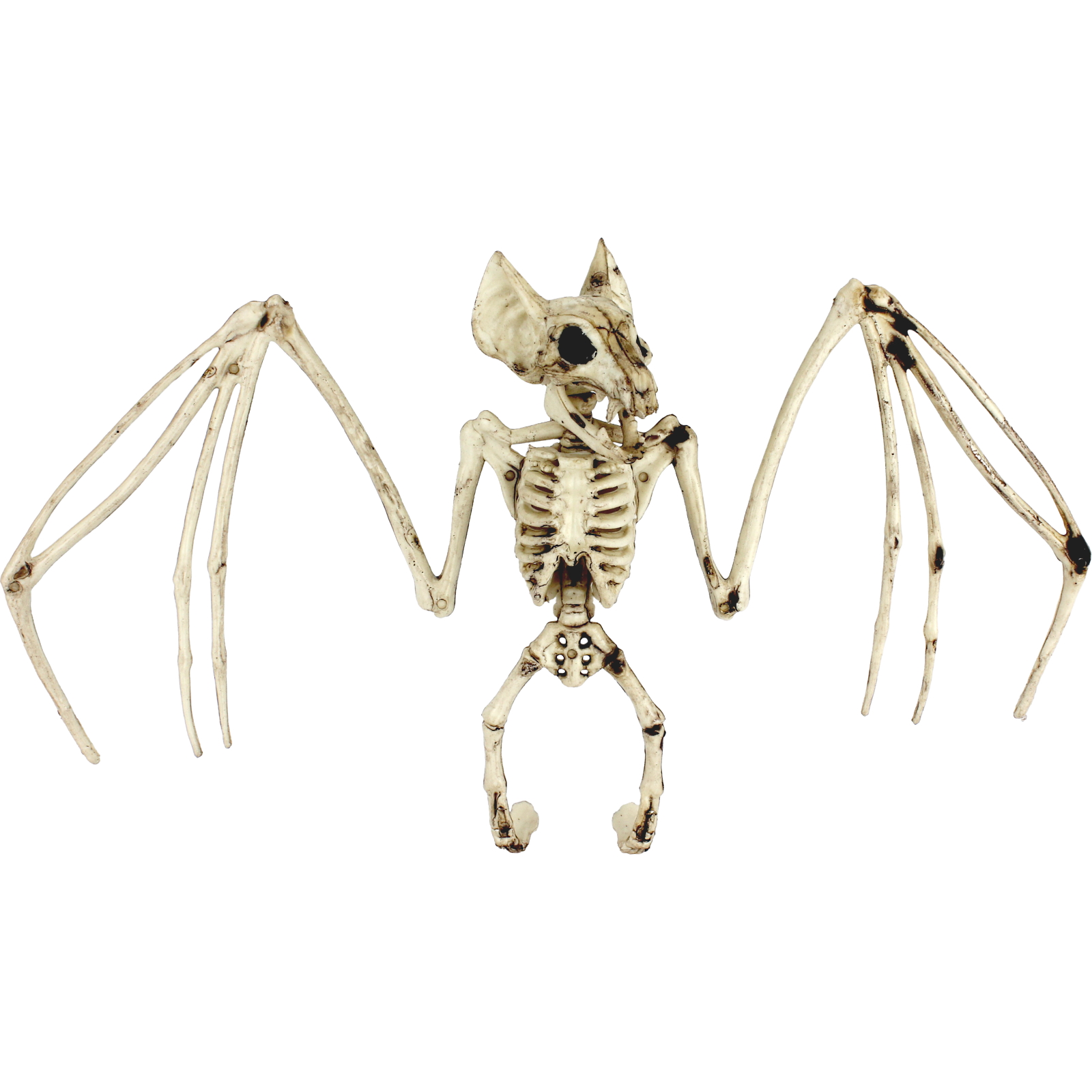 Skeletal Bat Decoration