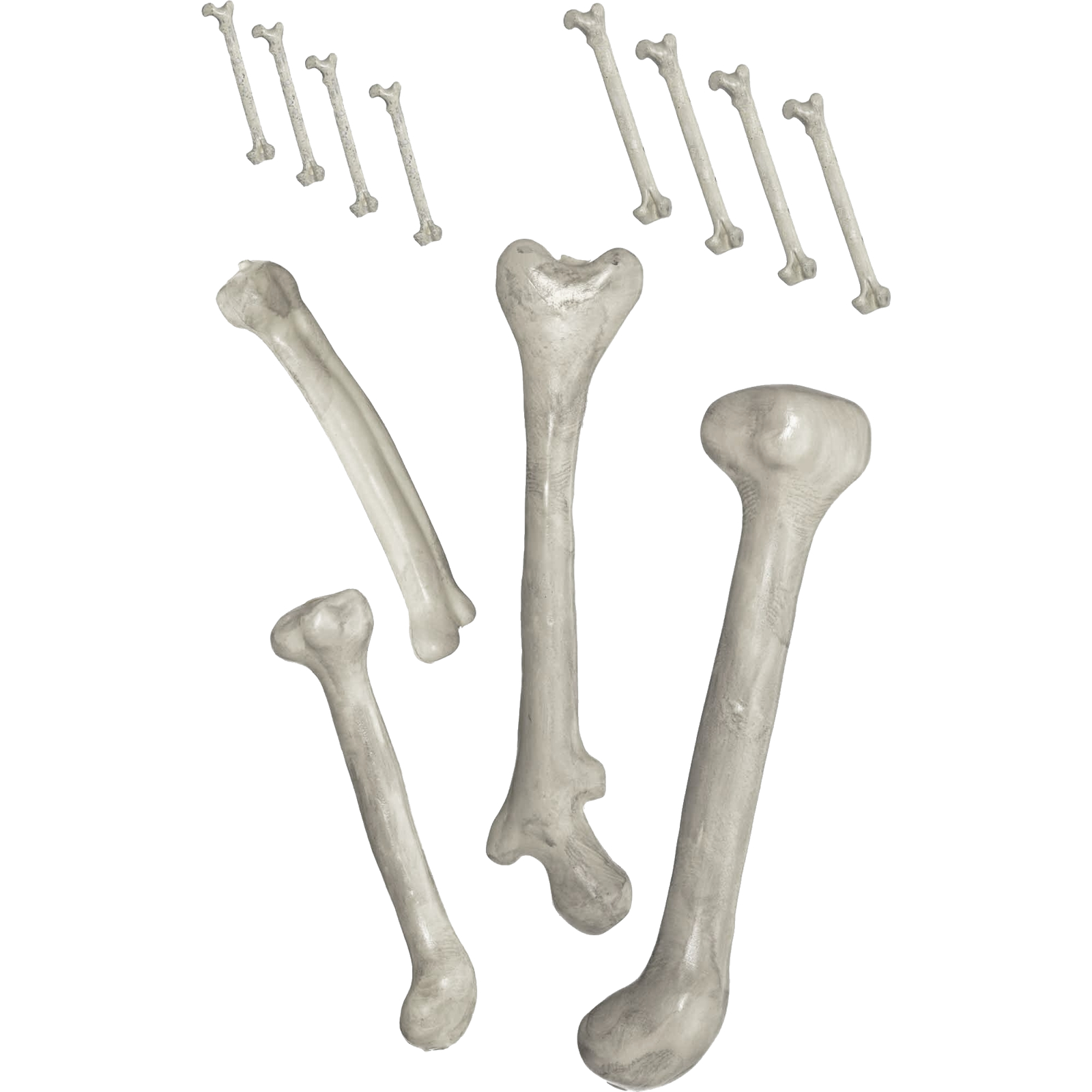 Witch Doctor Bag of Bones (Pack of 12)