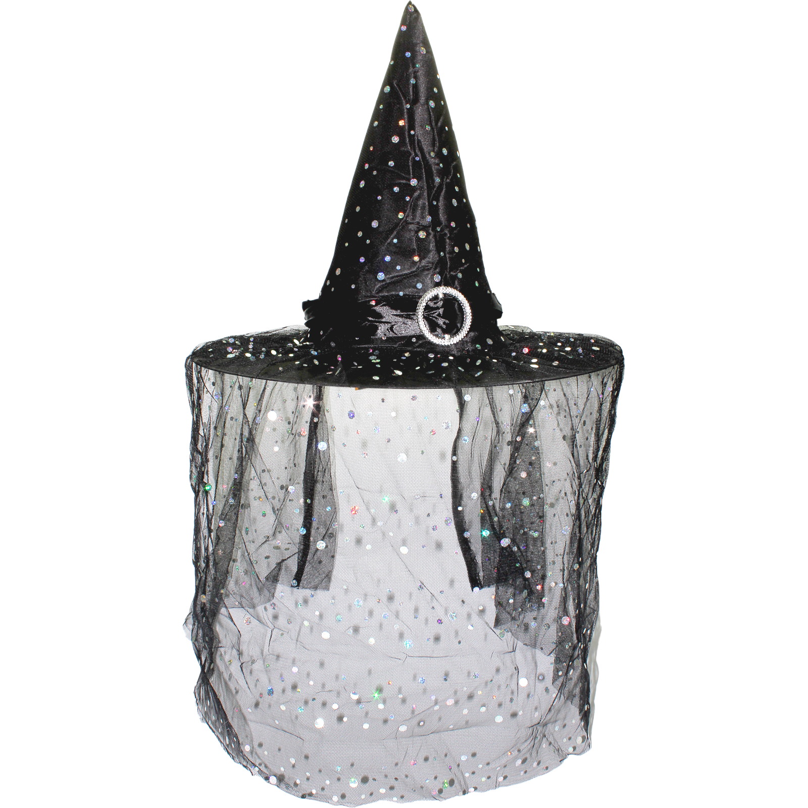 Adult Iridescent Veiled Witch Hat