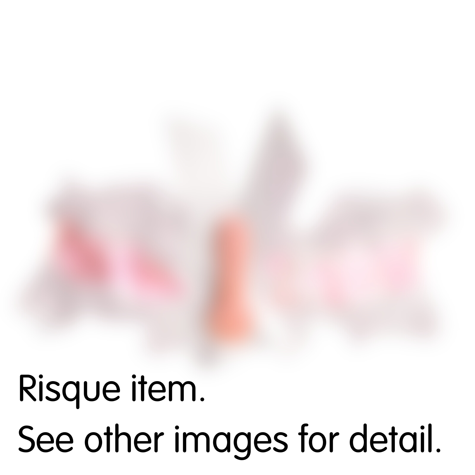 Bride to Be Willy Lace Garter 