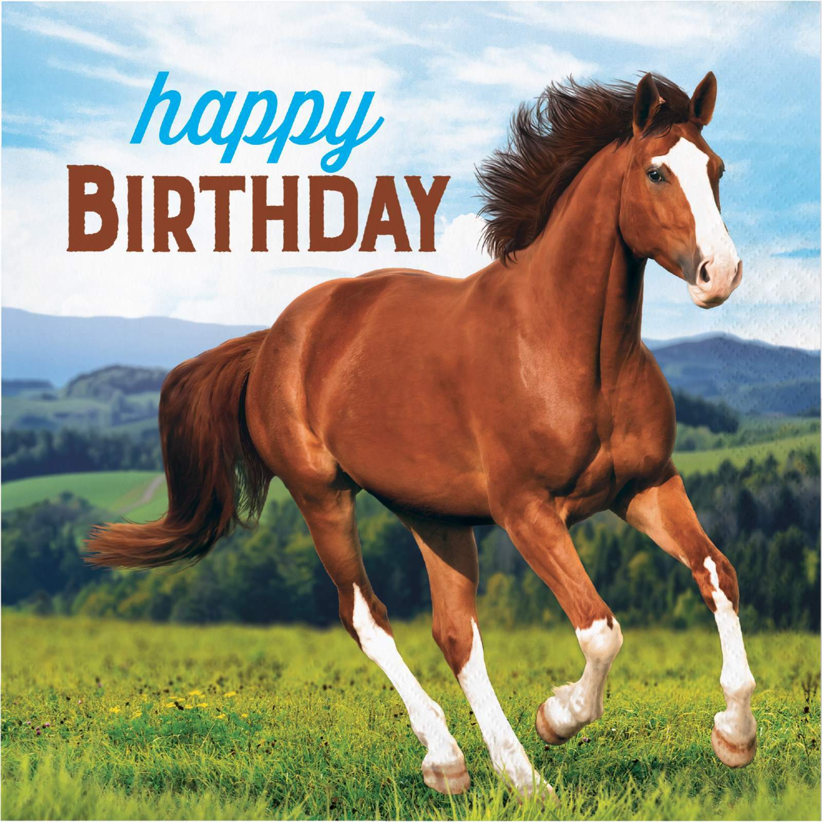 Horse and Pony Happy Birthday Large Napkins / Serviettes (Pack of 16)
