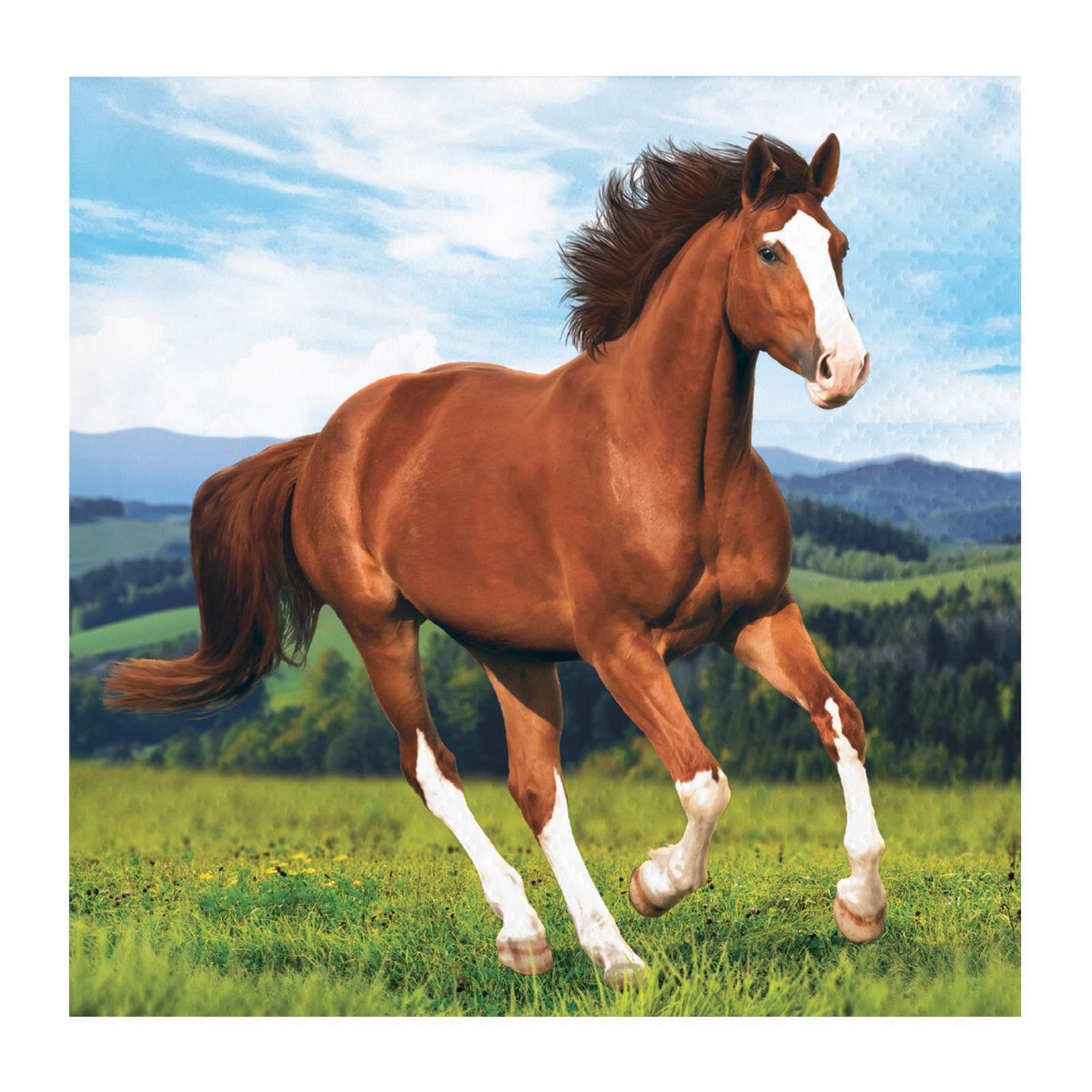 Horse and Pony Small Napkins / Serviettes (Pack of 16)