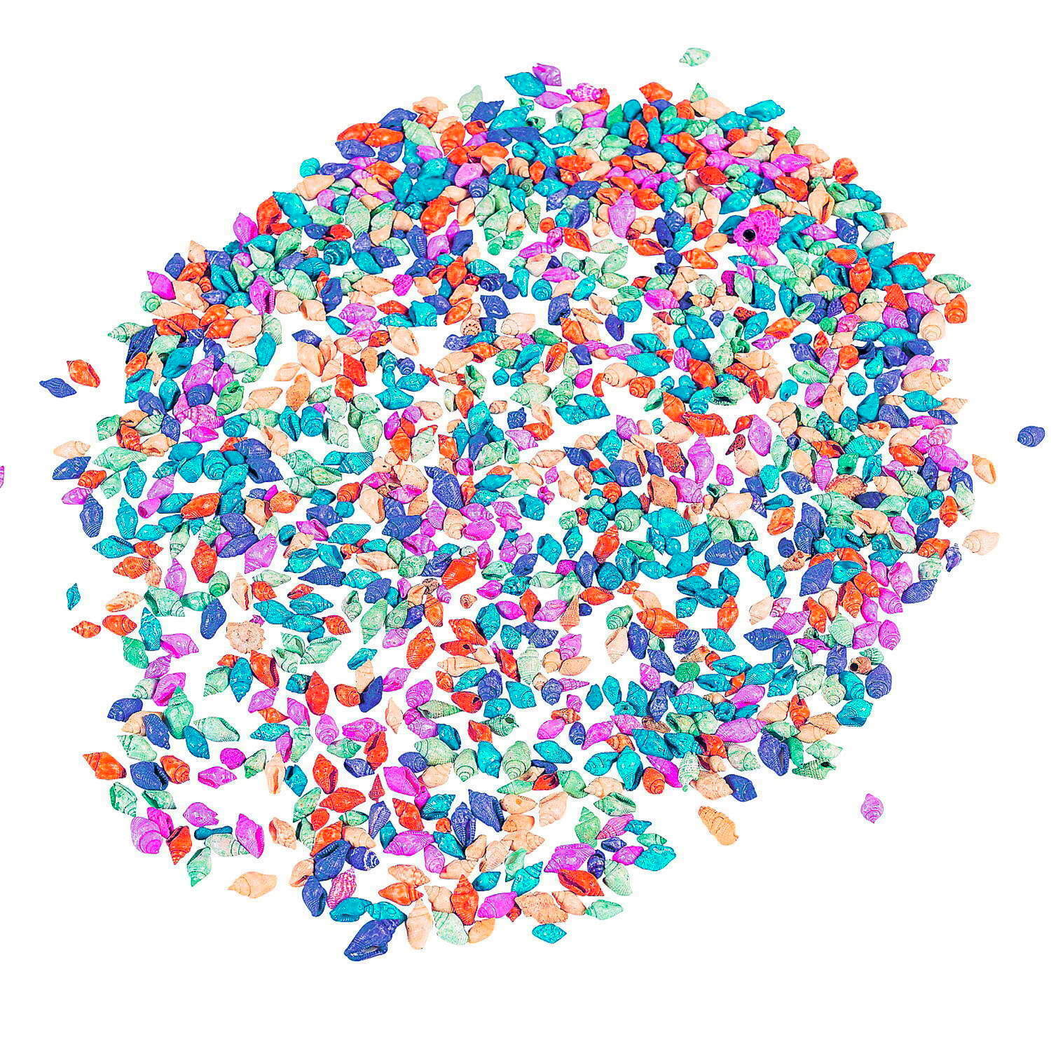 Mini Coloured Conch Shells 450g