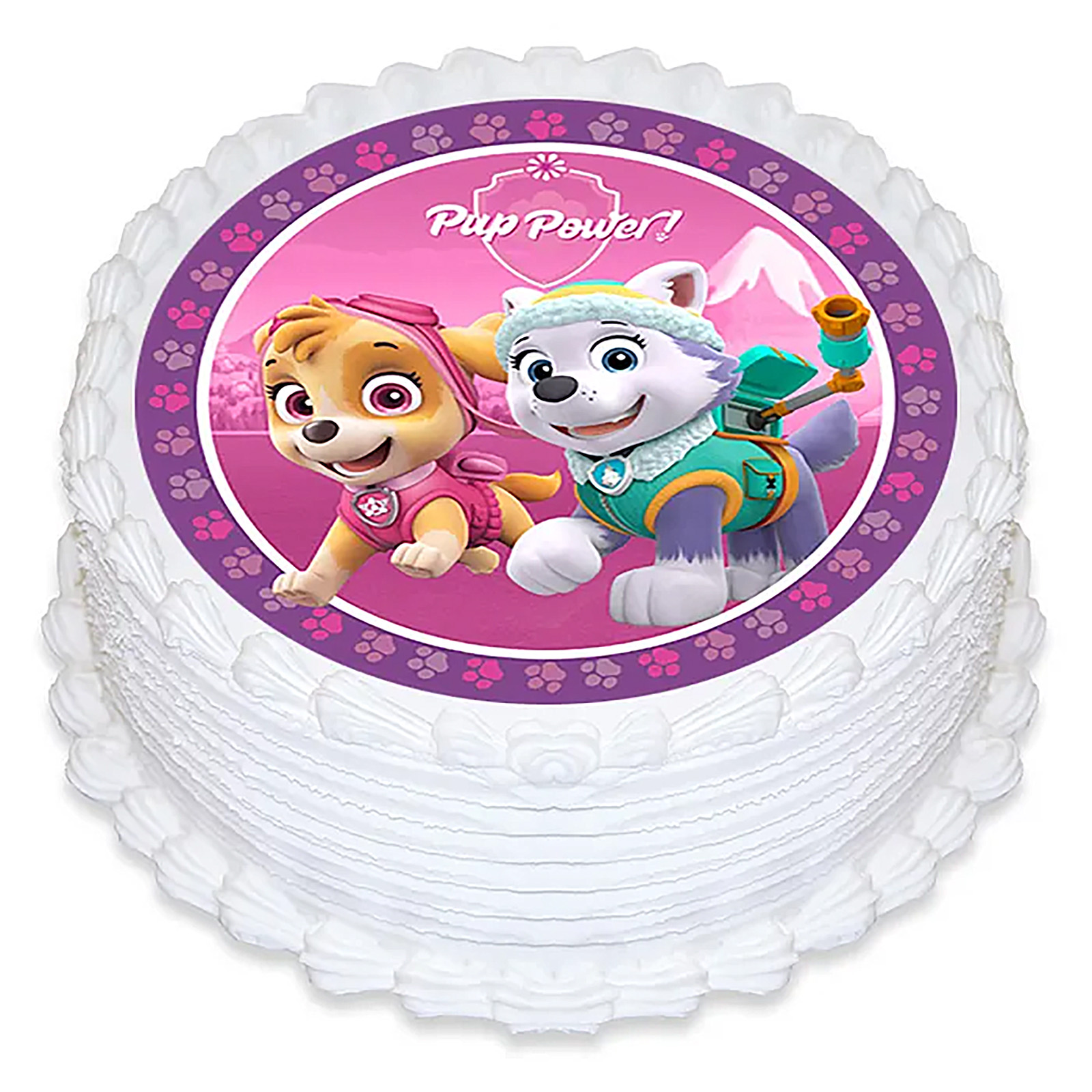 Paw Patrol Pup Power Round Edible Icing Cake Decoration