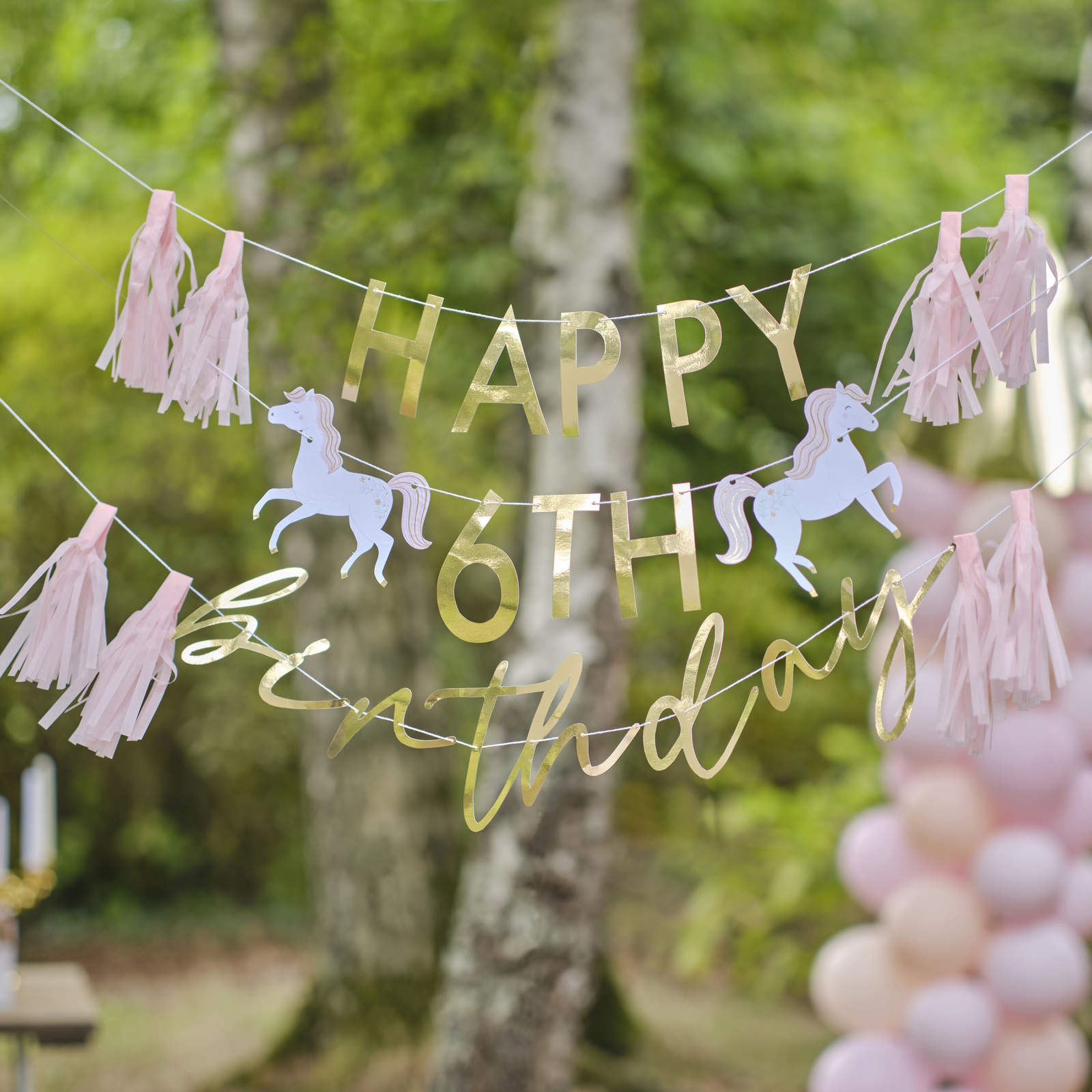 Ginger Ray Princess Party Add an Age Garland Banner