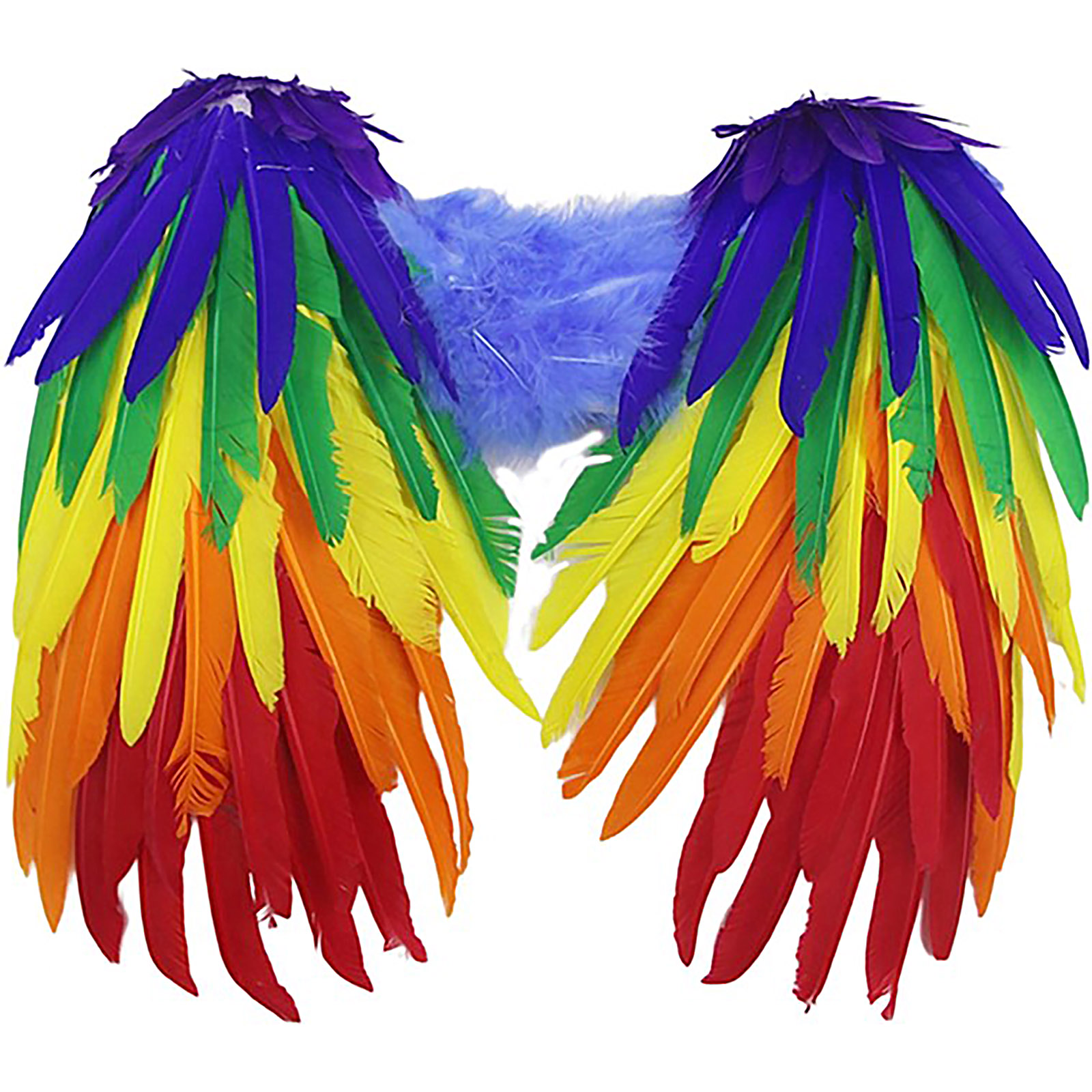 Rainbow Feathered Angel Wings (40cm x 40cm) 