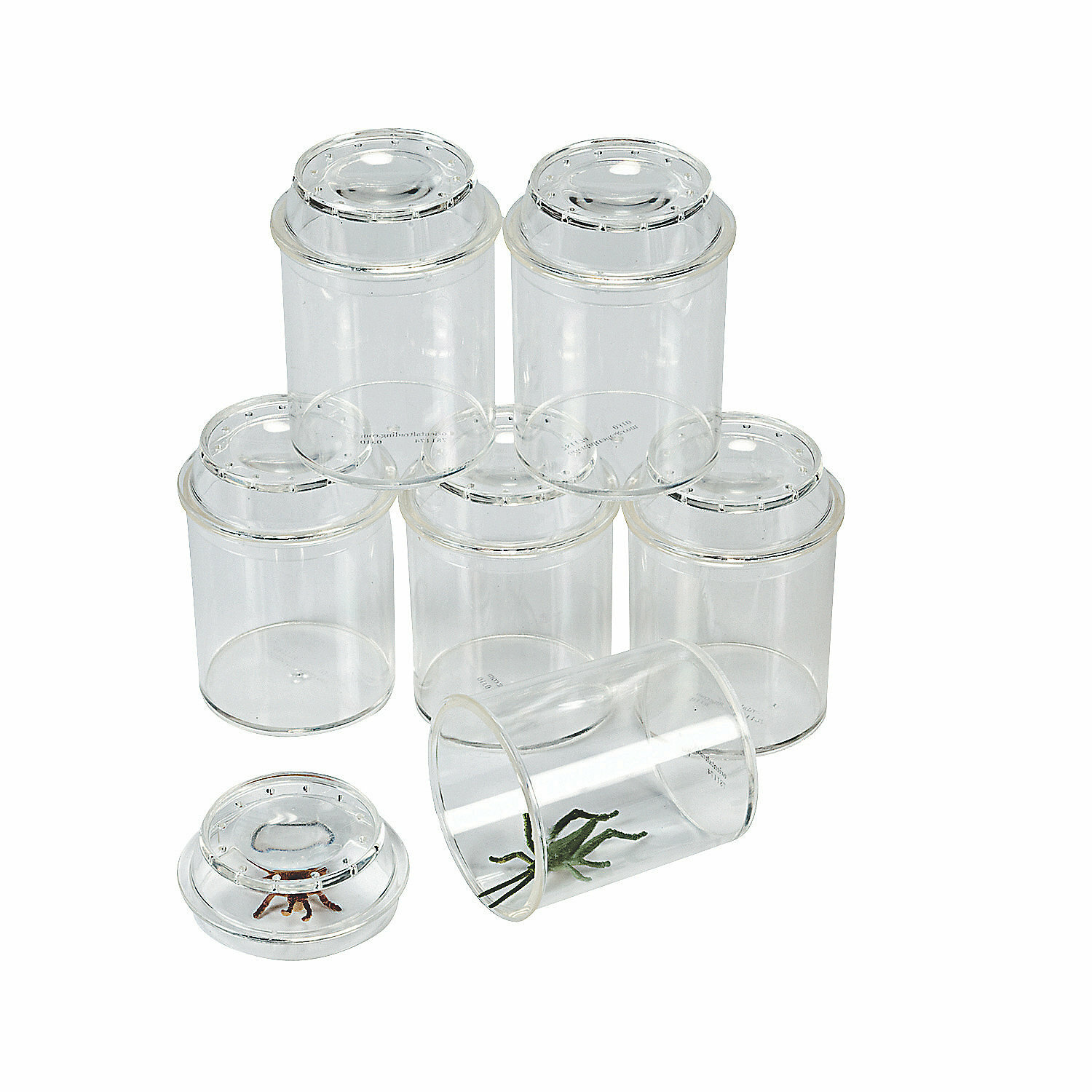 Mini Bug Catcher Jar