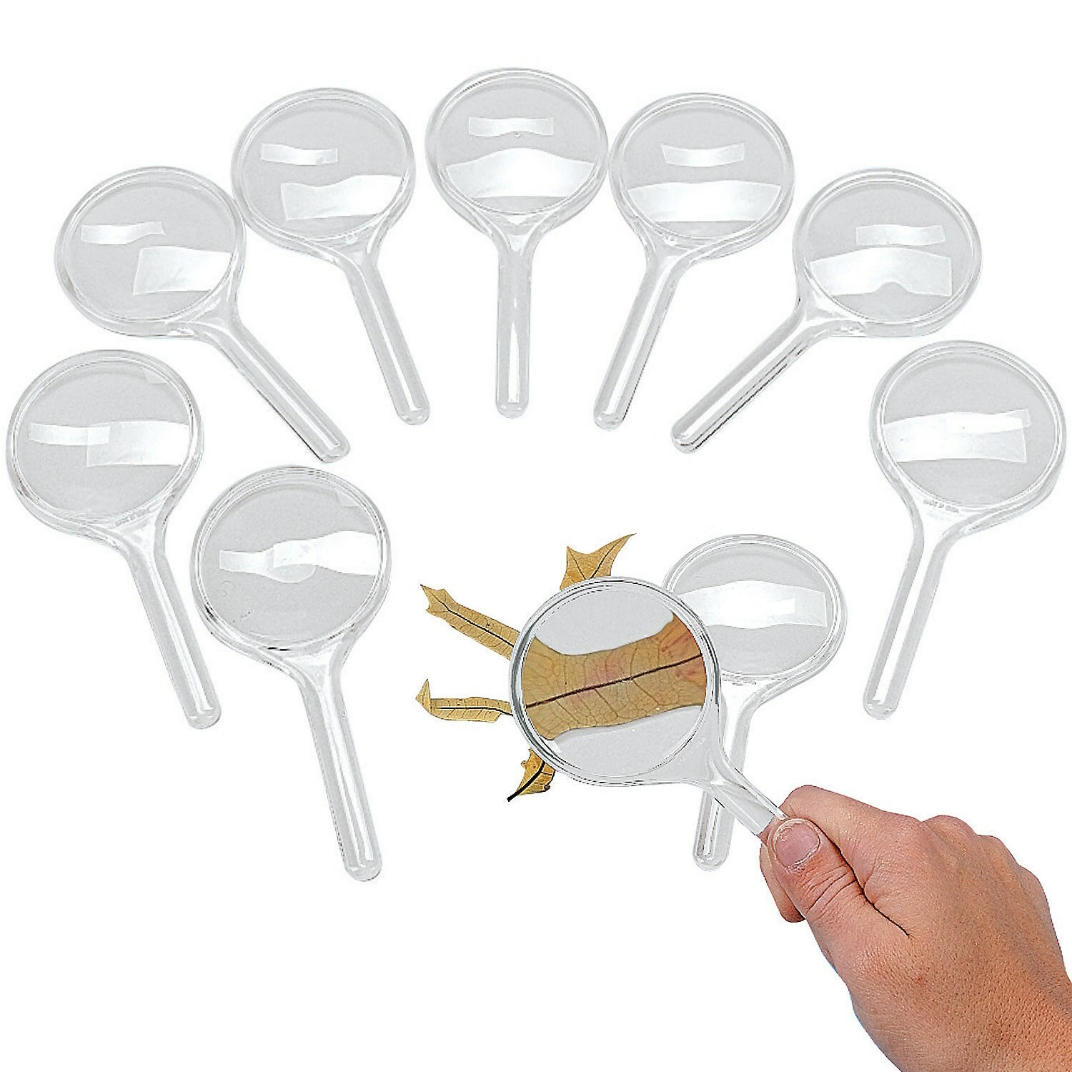 Mini Magnifying Glasses (Pack of 10)