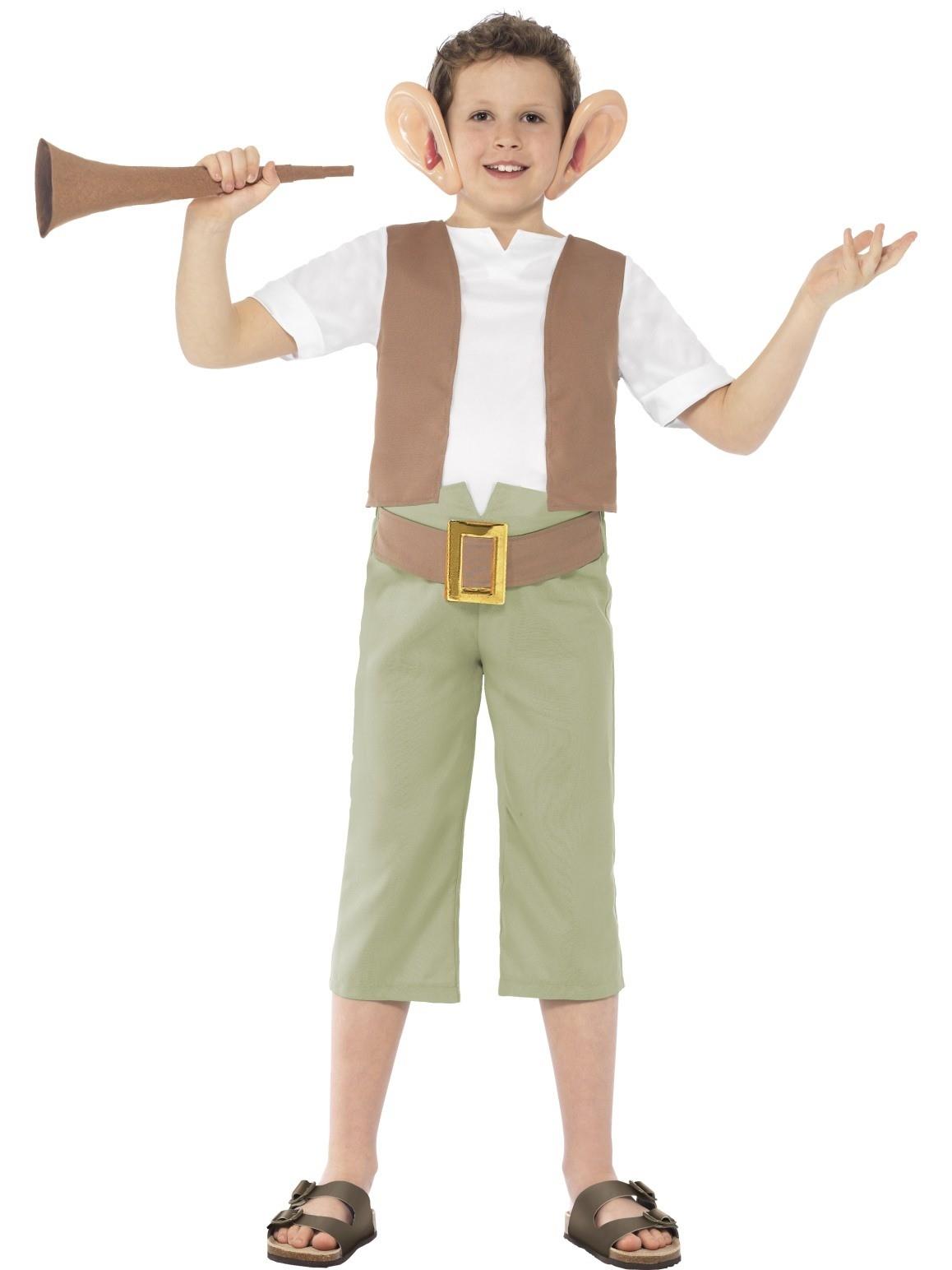 Roald Dahl The BFG Child Costume