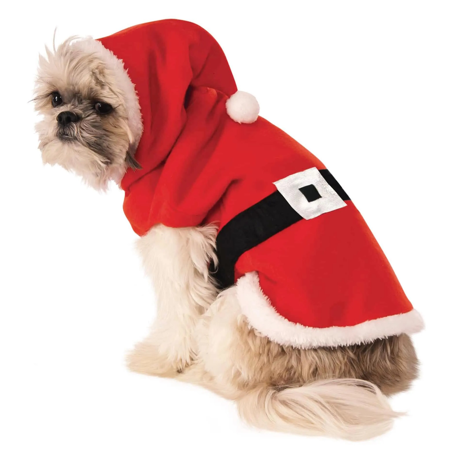 Santa Claus Pet Costume