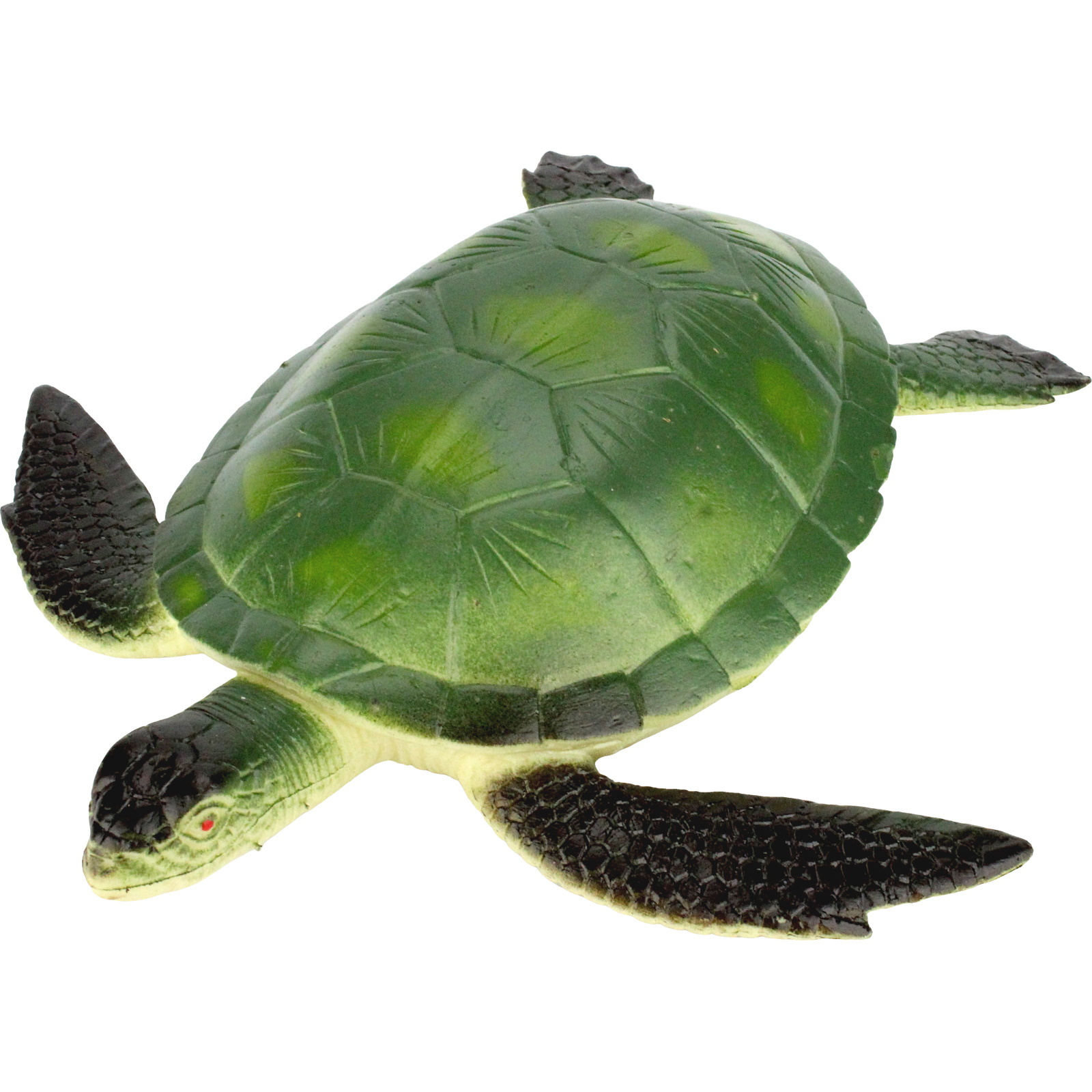 Plastic Turtle 