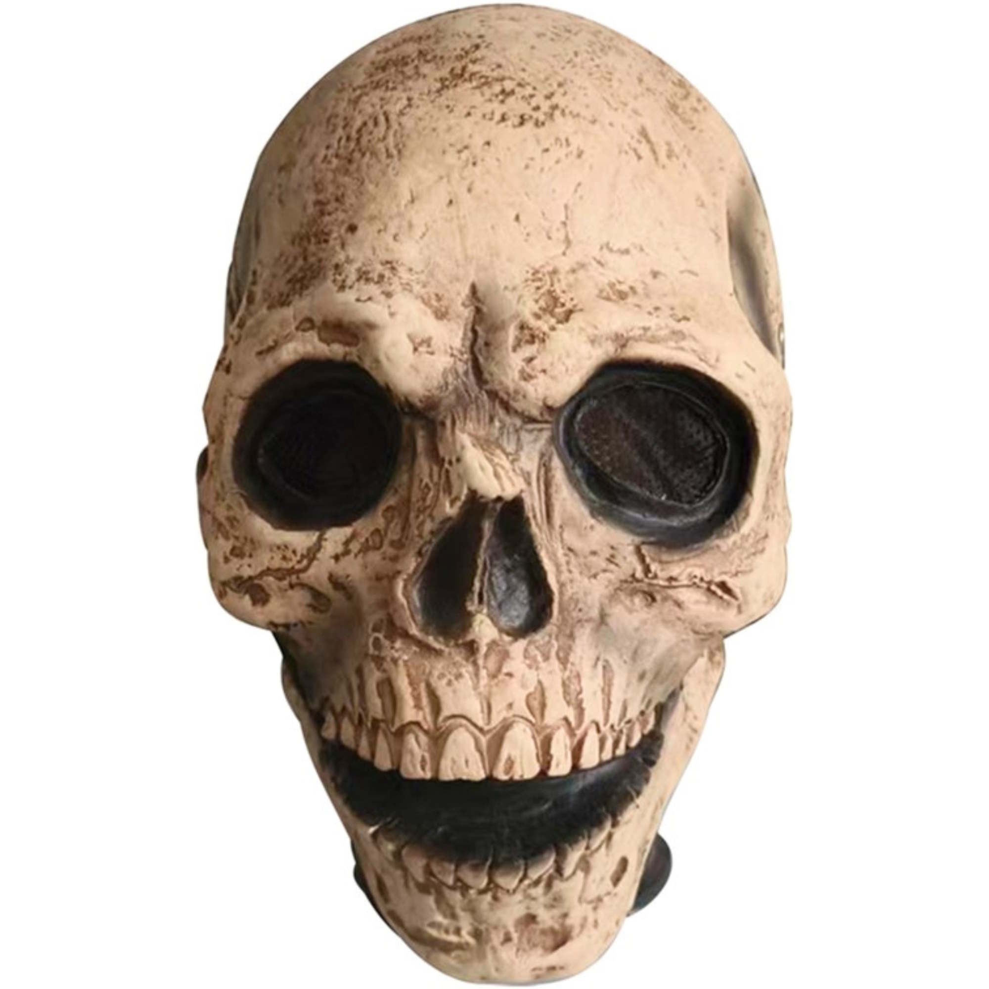 Adult Skull Latex Mask 