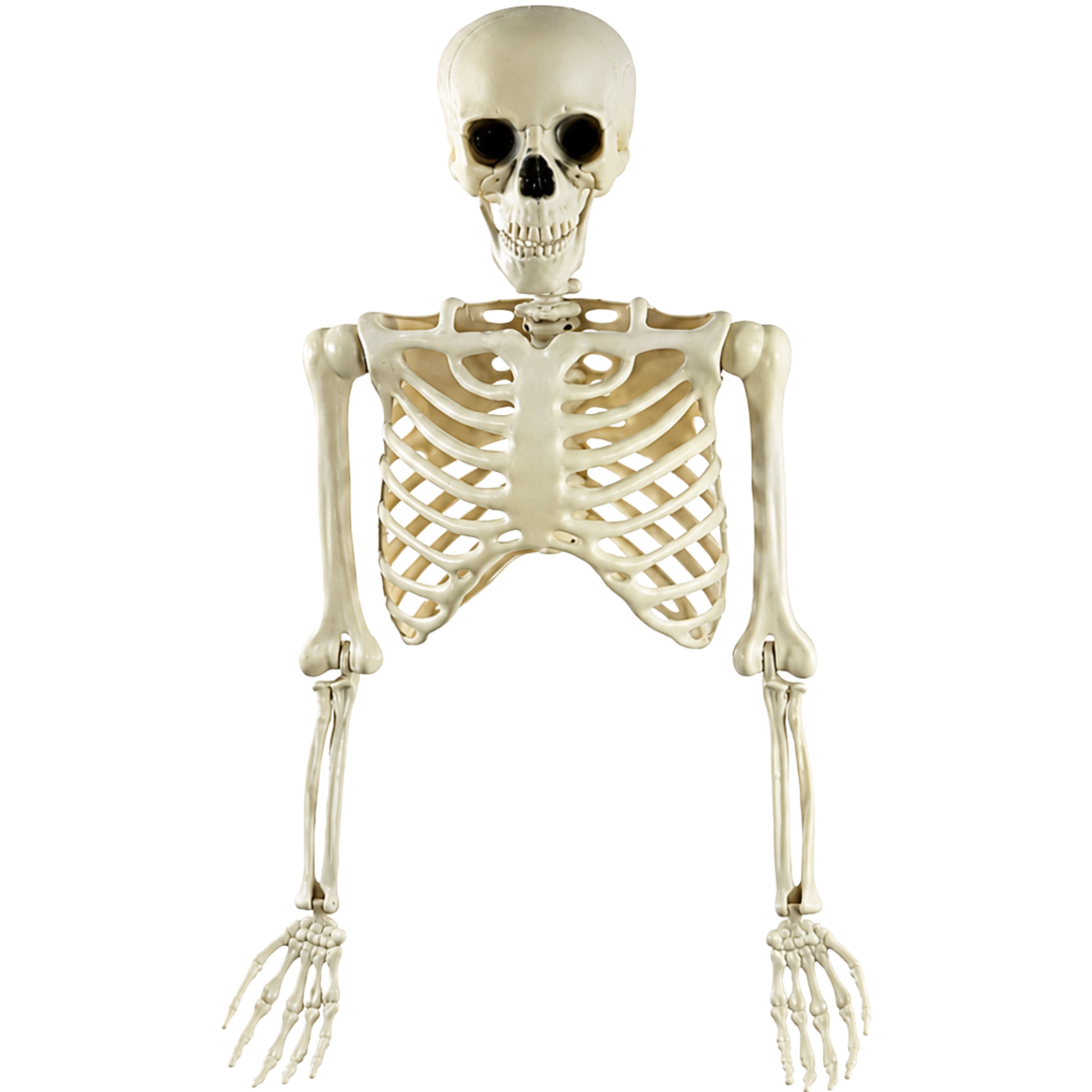 Halloween Half Skeleton Body Decoration 85cm