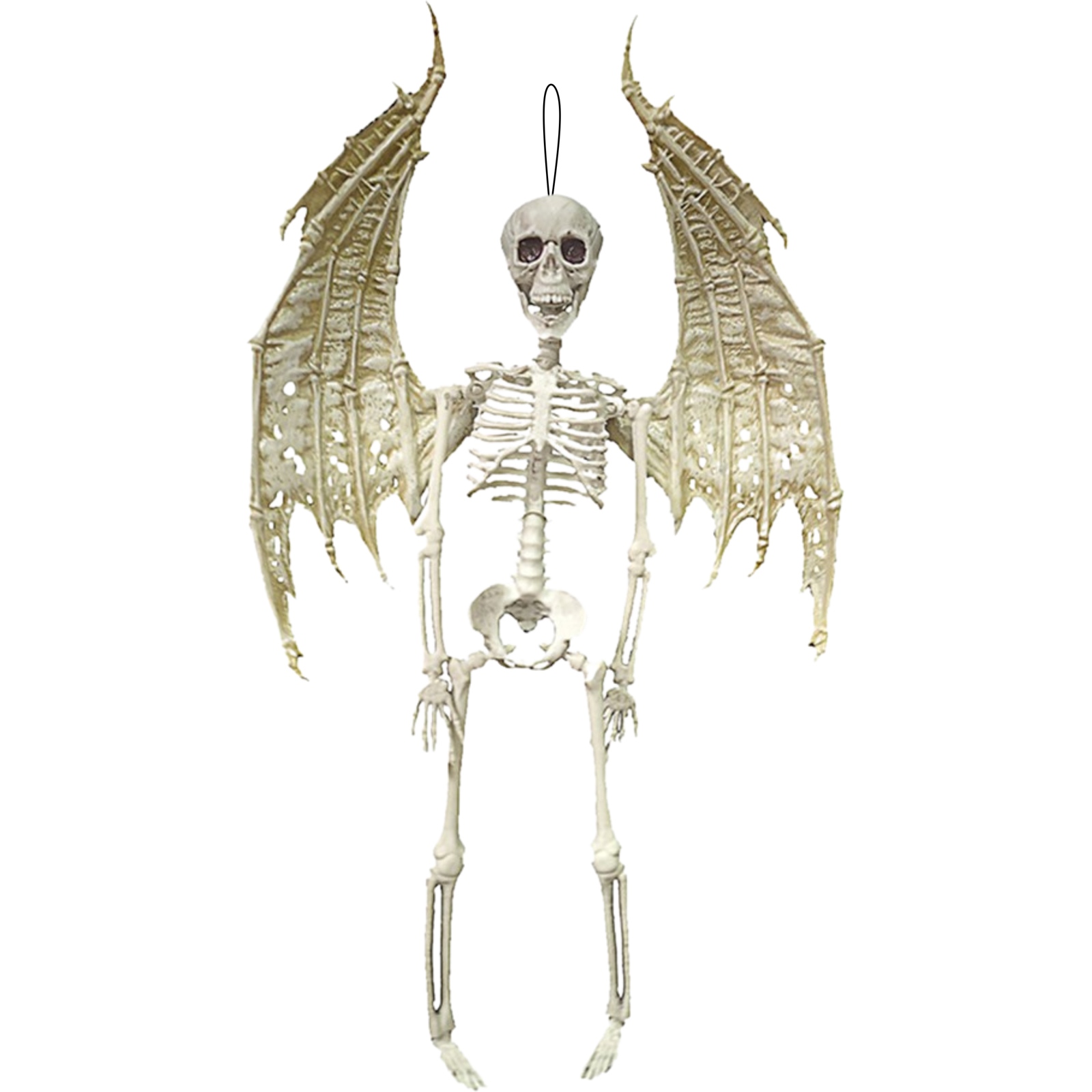 Skeletal Winged Skeleton Decoration 