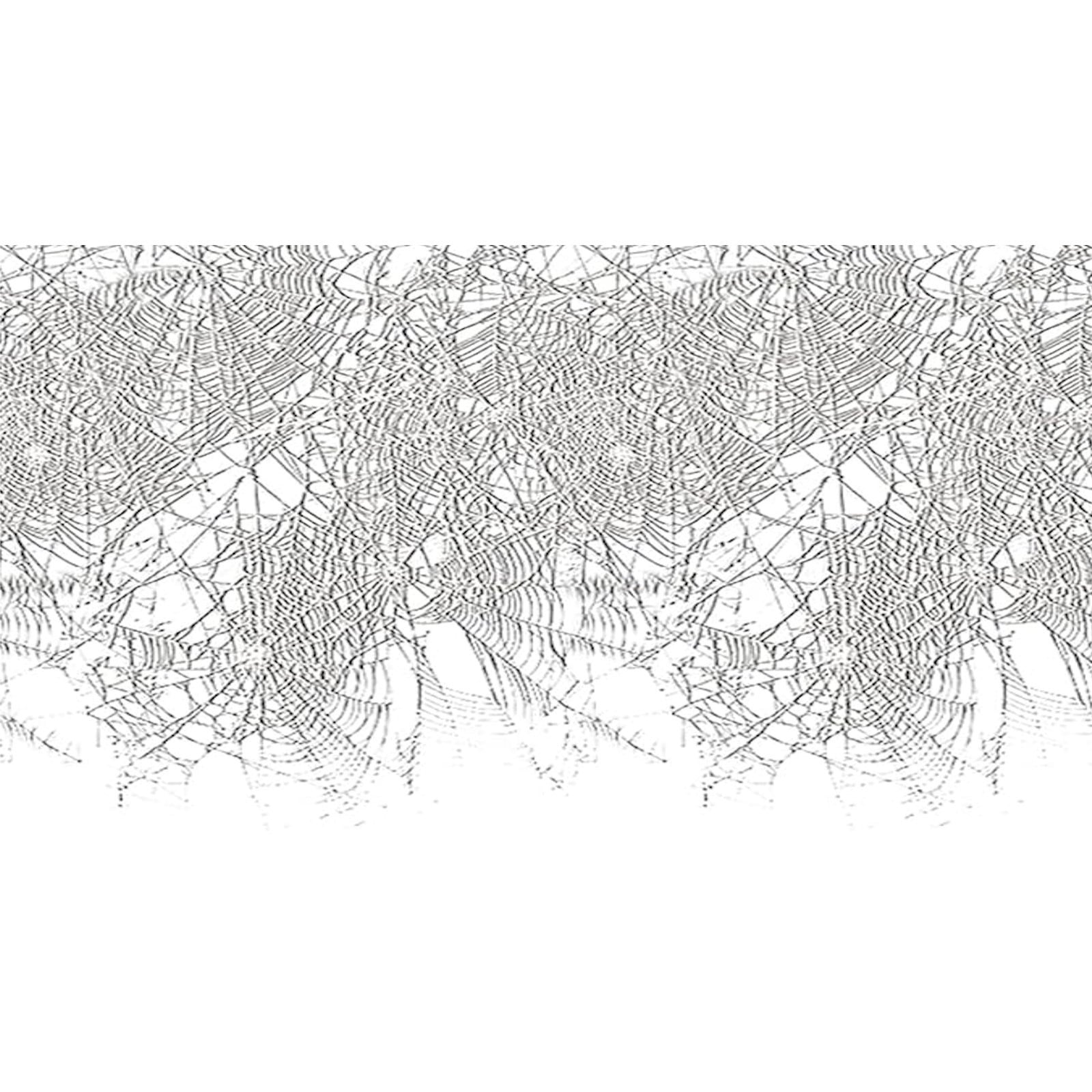 Insta Theme Spider Web Border Backdrop 