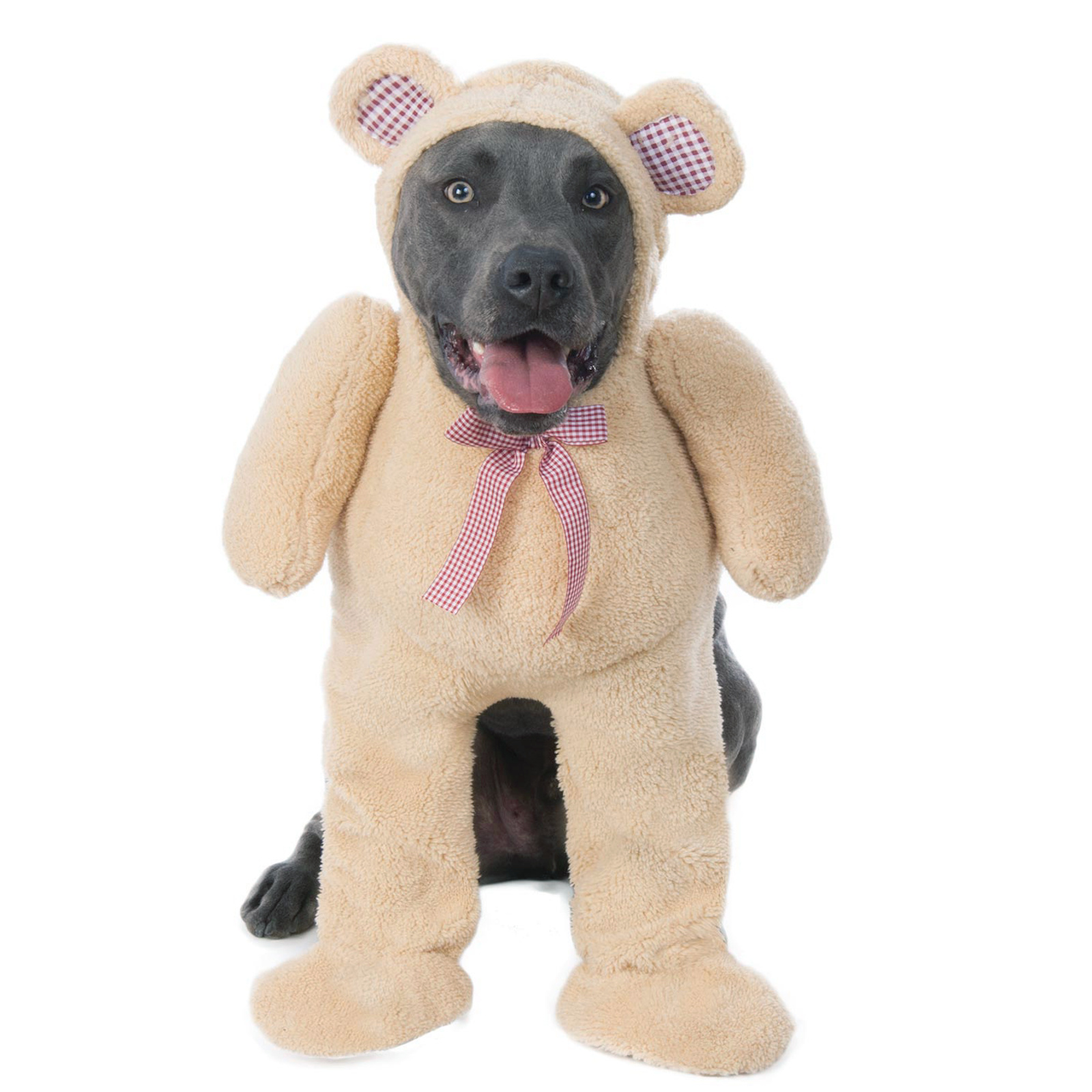 Walking Teddy Bear Big Pet Costume
