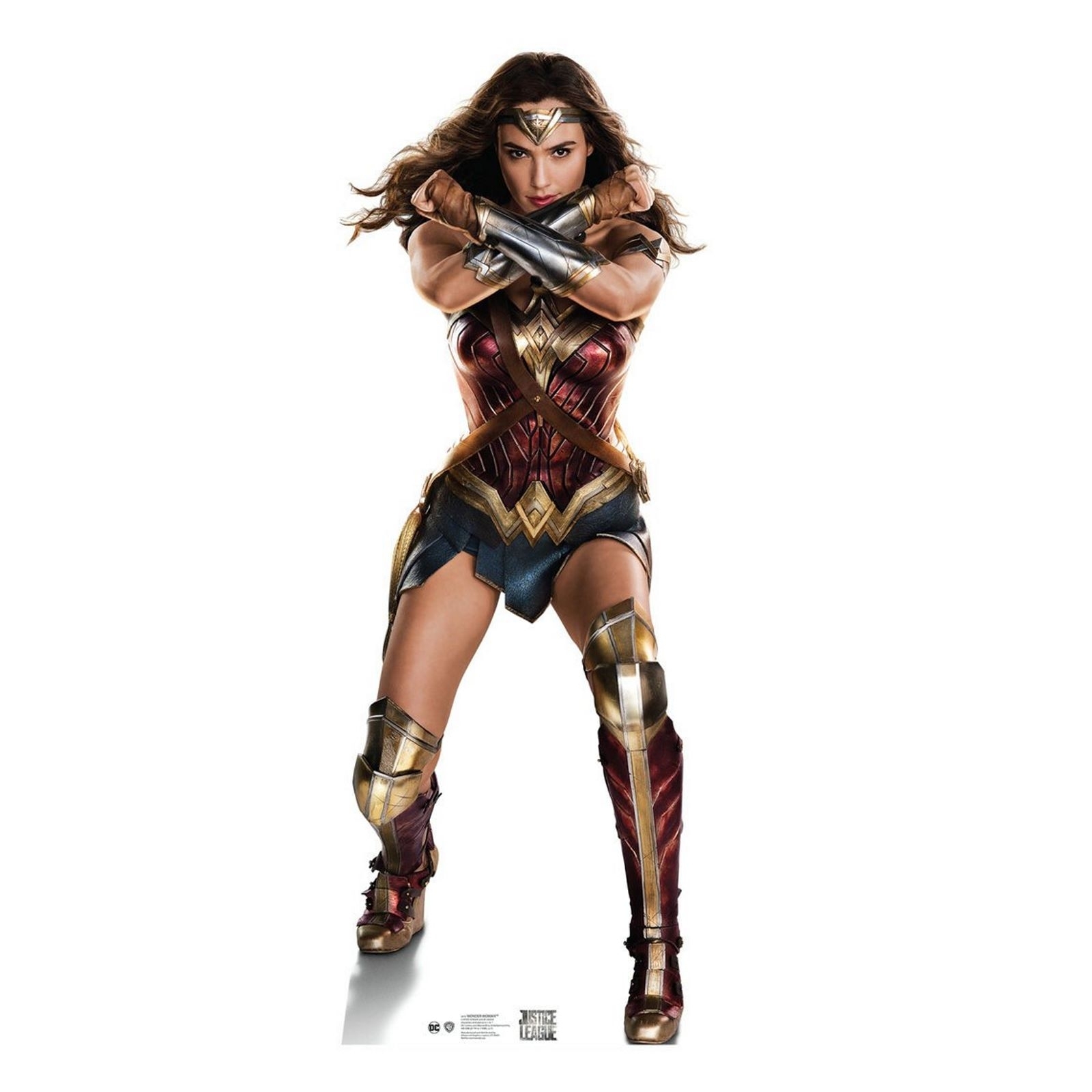 Wonder Woman Justice League Stand Up Photo Prop